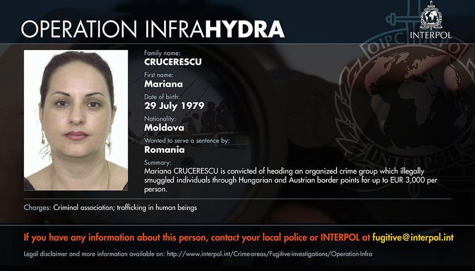 Interpol pátrá po dalších deseti osobách, které se měly podílet na pašování migrantů.