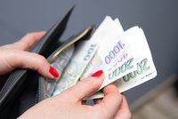 Předstírali pomoc, nakradli z dávek tři miliony! Jezdili na dovolené a nakupovali ve velkém