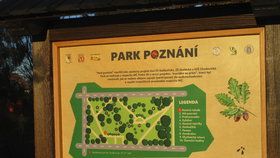 V roce 2017 vzešla z projektu realizace Parku Poznání v Horní Počernicích. Co to bude letos?