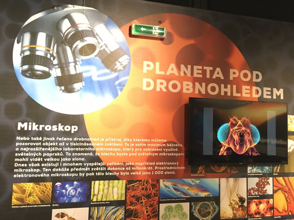Na Rašínově nábřeží v Praze je nový science park - přímo na lodi!