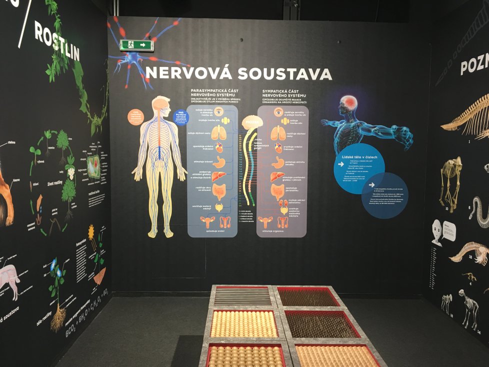 Na Rašínově nábřeží v Praze je nový science park - přímo na lodi!