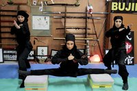 Pořádně nebezpečné kočky: Trénují bojová umění v Íránu