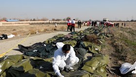 Tragický pád letadla ukrajinských aerolinií po startu z íránského Teheránu (8. 1. 2020)