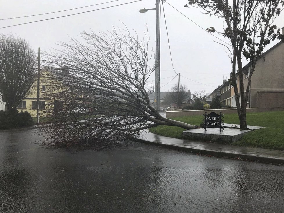 Bouře Ophelia udeřila v Irsku.