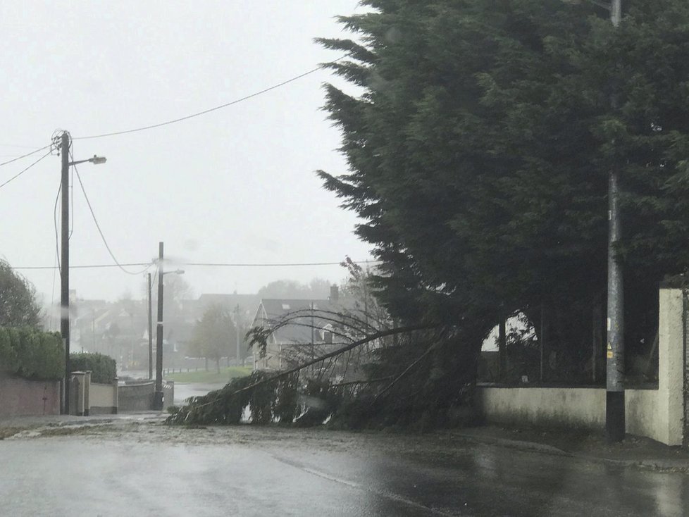 Bouře Ophelia udeřila v Irsku.