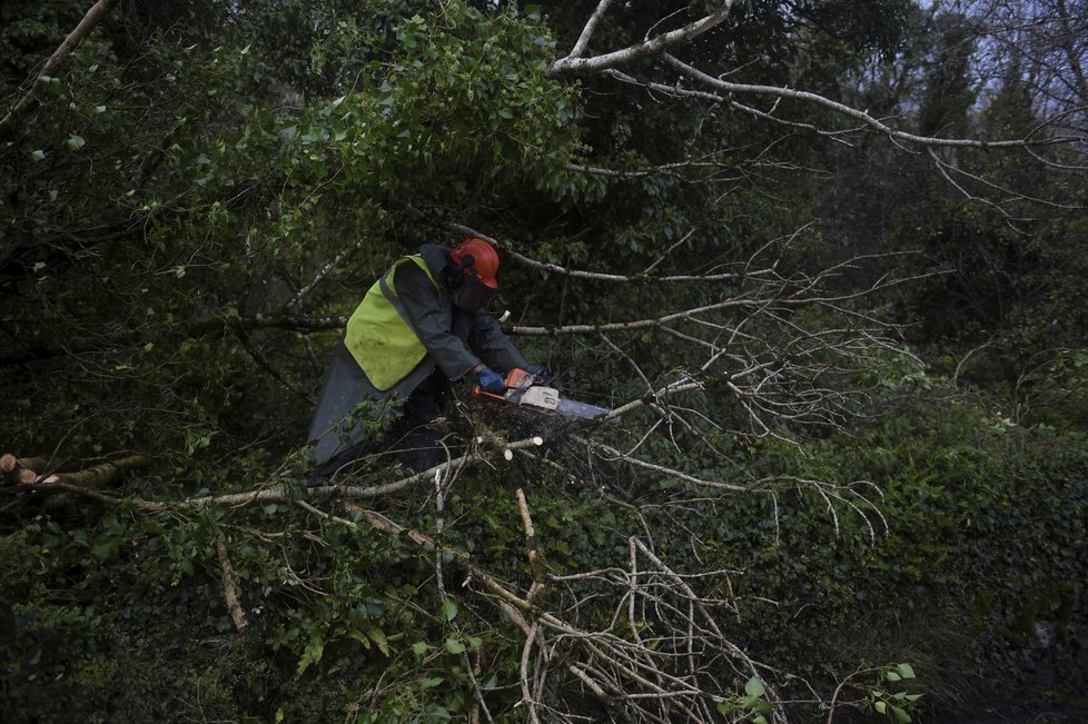 Bouře Ophelia udeřila v Irsku.