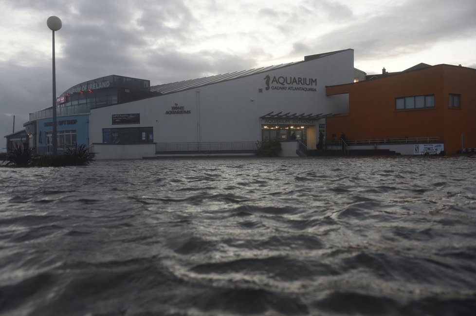 Bouře Ophelia udeřila v Irsku.