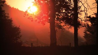 Opojení magicky krásnou přírodou irského pohoří Wicklow nezkazí ani bodavý hmyz či proměnlivé počasí Opojení magicky krásnou přírodou irského pohoří Wicklow nezkazí ani bodavý hmyz či proměnlivé počasí