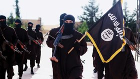 Do Evropy podle Interpolu dorazili teroristé z ISIS. (Ilustrační foto)
