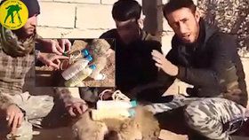Teroristé z ISIS připevnili ke štěněti bombu.