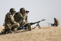 NATO schválilo turecký boj s Islámským státem, Ankara o pomoc nepožádala