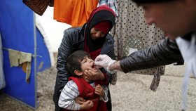 V uprchlických táborech u Mosulu přežívá přes 100 tisíc utečenců.