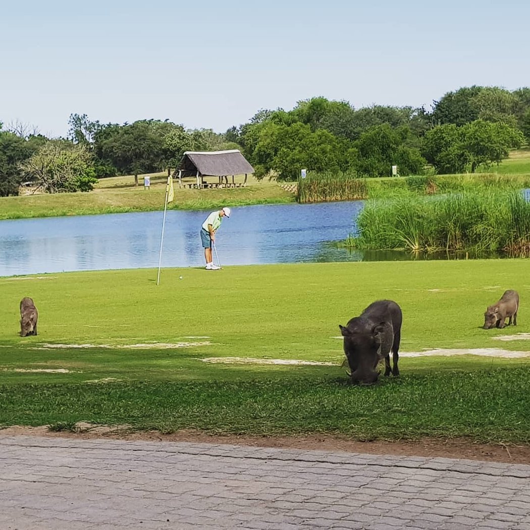 Takto vypadá běžné ráno v golfovém klubu Skukuza, který se nachází v Krugerově národním parku v Jihoafrické republice.