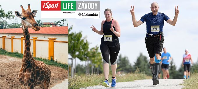 iSport LIFE závod brněnskou ZOO už v sobotu! Registrace možná i na místě iSport LIFE závod brněnskou ZOO už v sobotu! Registrace možná i na místě