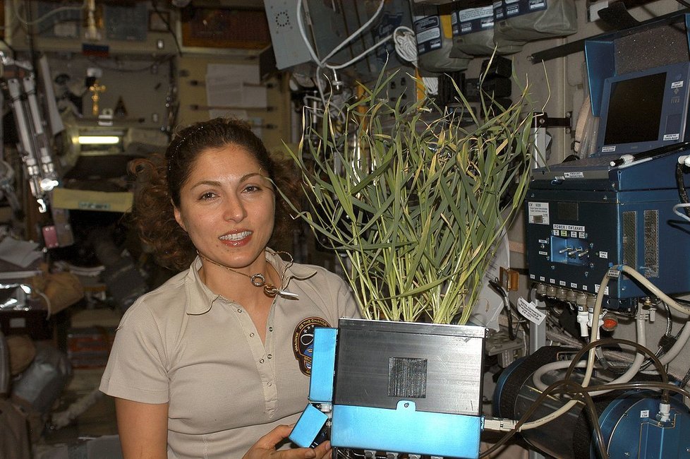Anúše Ansáriová, jedna z mála vesmírných turistek na ISS.