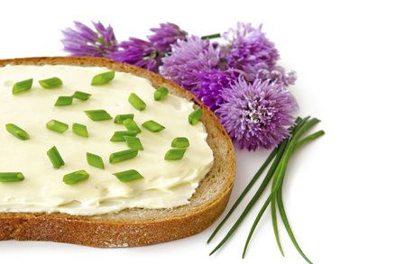 Češi milují tavený sýr! Co jste o něm ještě nevěděli?