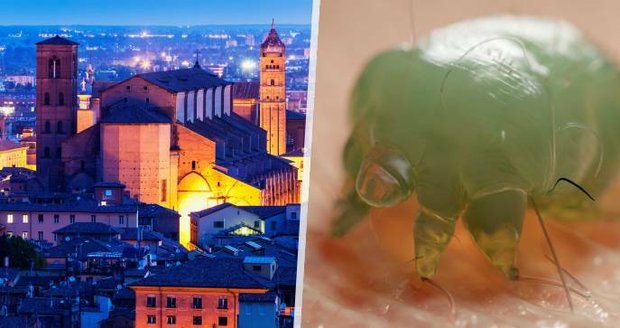 Itálie se potýká s epidemií svrabu