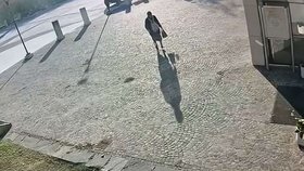 Kamery zachytily Itala, jak si kráčí pro dávky.