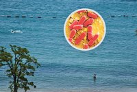 Zákaz koupání v dovolenkovém ráji: V italské části Jadranu se přemnožily bakterie