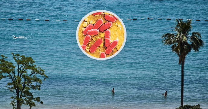 Vietato nuotare nel paradiso delle vacanze: i batteri si stanno riproducendo in alcune parti dell’Adriatico italiano