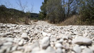 Víno, olivy a parmezán v ohrožení. Italští farmáři sčítají škody nebývalého sucha