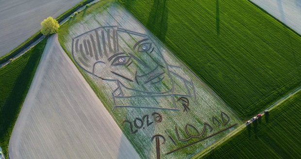 Picasso na poli: Umělec pomocí traktoru napodobil autoportrét otce kubismu