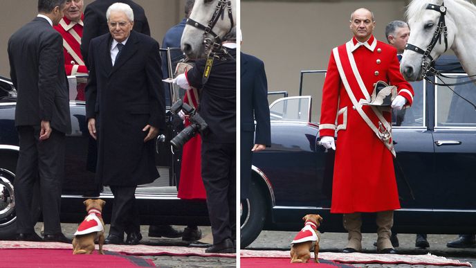 Nového italského prezidenta přivítal psík, který hlídá jeho palác