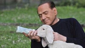 Berlusconi chce zpátky do politiky. „Zachraňuje“ kvůli tomu jehňata