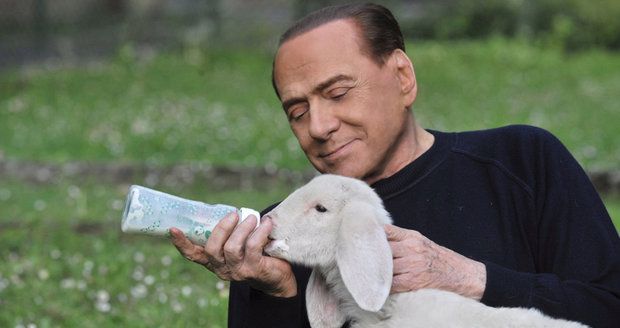 Berlusconi chce zpátky do politiky. „Zachraňuje“ kvůli tomu jehňata