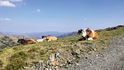 Odpočívající krávy při naší cestě na nejvyšší horu Sardinie