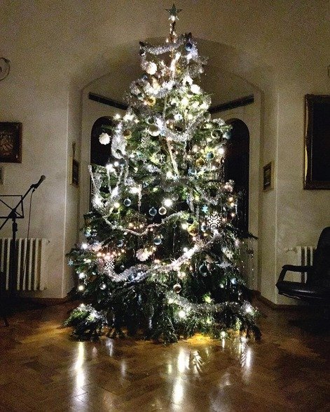Vánoční strom Ivy Kubelkové