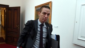 Jednání vlády o ukrajinských uprchlících: Ministr pro místní rozvoj Ivan Bartoš (Piráti) (16.3.2022)