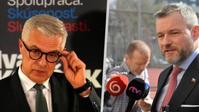 Korčok a Pellegrini jednají o podpoře s neúspěšnými prezidentskými kandidáty