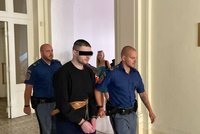 Znalkyně o Ivanovi P. (26), který se přiznal k vraždě taxikáře: Jednal egocentricky a vědomě