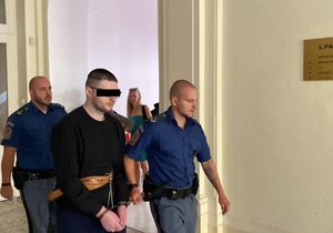 Ivan P. obžalovaný z vraždy řidiče Boltu si u městského soudu v Praze vyslechl svou obžalobu