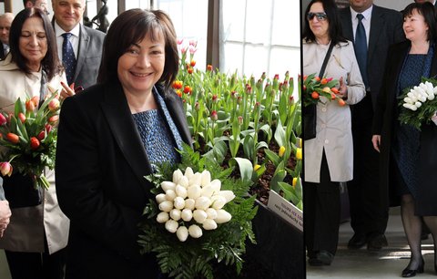 První dáma bez Zemana, ale s úsměvem: Rozkvetla mezi tulipány!