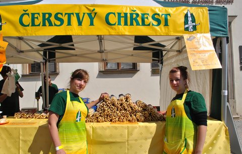 Čtyři tuny chřestu zaplavily náměstí v Ivančicích