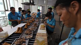Značka Ivanky Trump vyrábí svoje boty v Číně.