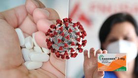 Novinka pro české rizikové pacienty s covidem: Mají dostat protilátkové léky, míní náměstkyně