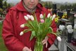 Maminka přinesla před smutným výročím na hrob dceři kytici tulipánů.