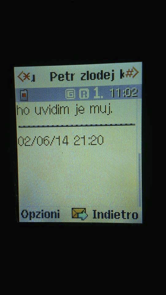 Toto jsou některé sms zprávy, které Petr Veselý poslal Domenicu Martuccimu.