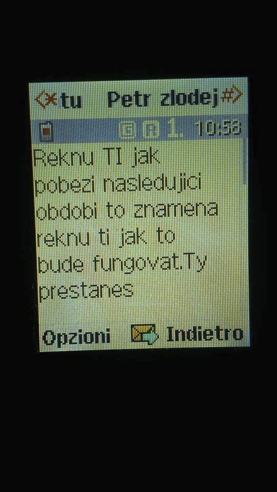 Toto jsou některé sms zprávy, které Petr Veselý poslal Domenicu Martuccimu.