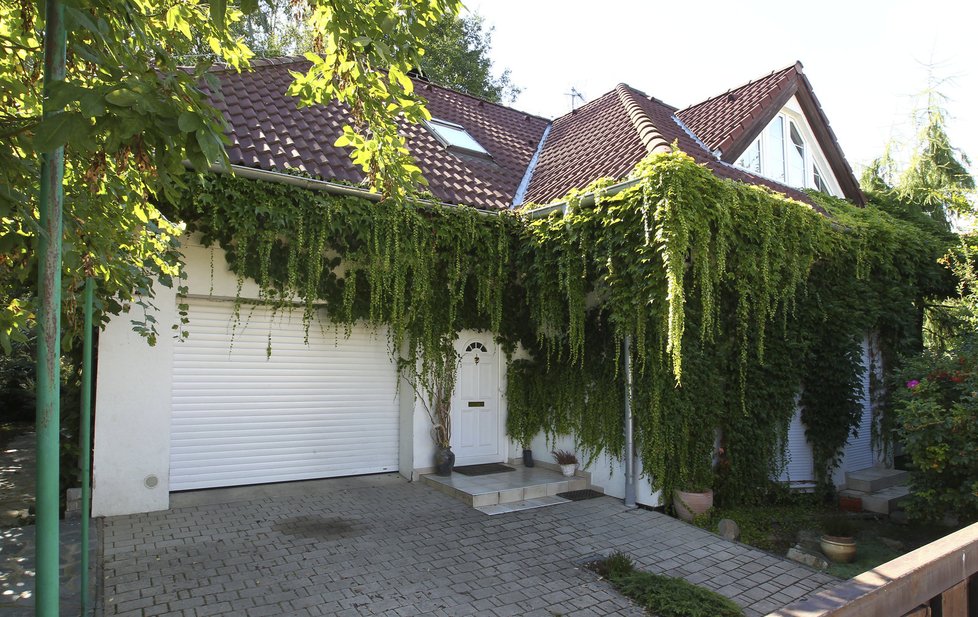 V srpnu byl Ivetin dům obrostlý rostlinou zvanou „psí víno“.