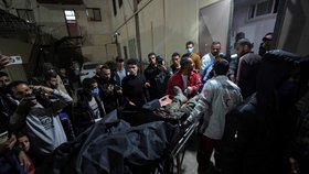 Při útoku na humanitární konvoj v Gaze zahynulo sedm lidí, uvedla charita.
