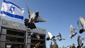 Izraelský holubář vypustil své závodní holuby, aby apeloval na propuštění rukojmí z Gazy (4. 12. 2023).