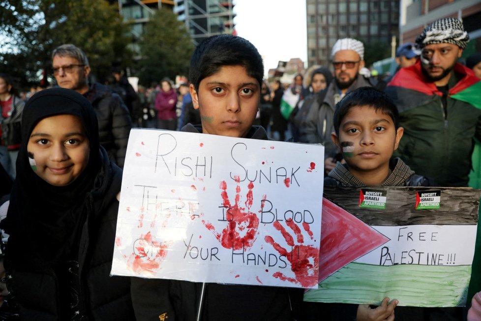 Propalestinská demonstrace v Londýně. (11.11.2023)