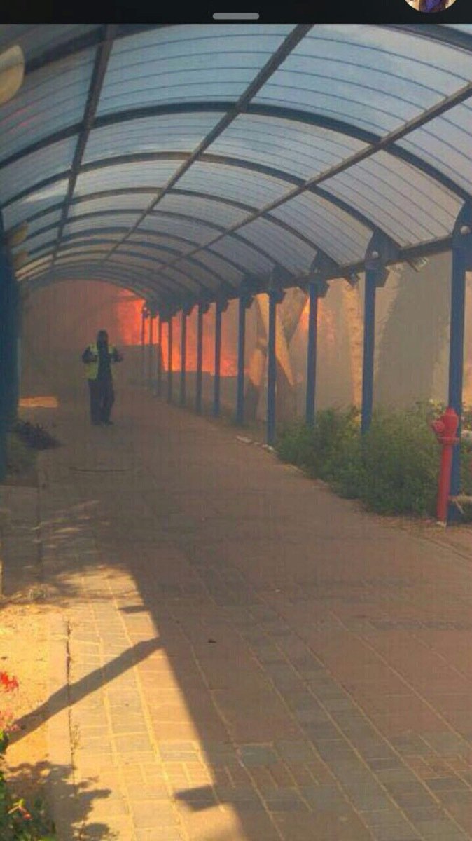 V Izraeli zuří požáry.