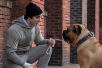 Rockyho zná každý. Teď přichází skutečný příběh jeho vzniku ve snímku Já, Rocky