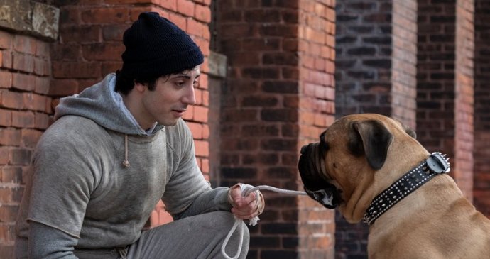 Je to mladý Sylvester Stallone, nebo není? Anthony Ippolito se ve filmu Já, Rocky proměnil ve slavného herce tak přesvědčivě, že jeho podoba s mladým Slyem budí pozornost od prvních záběrů.