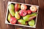 Přečtěte si, jak se správně starat o jablka a hrušky. Je škoda je nechat shnít.